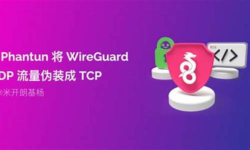 VPN加速指南（突破地域限制轻松上网）