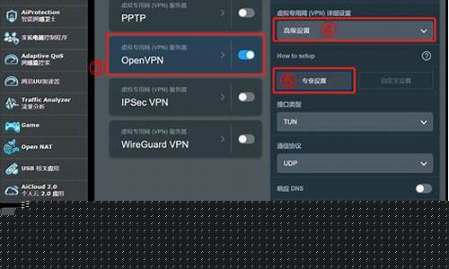 VPN服务（保护隐私避免数据泄露）