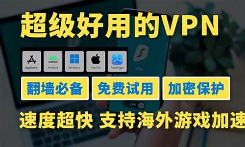 VPN的选择技巧（如何保障在线隐私与安全）
