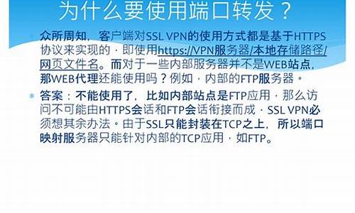 VPN的选择技巧（如何保障网络安全与隐私）